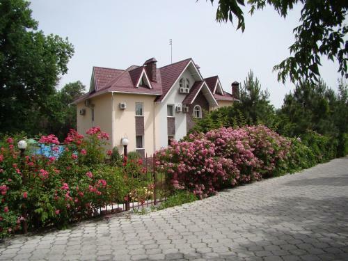 Hotel Asia Mountains 1