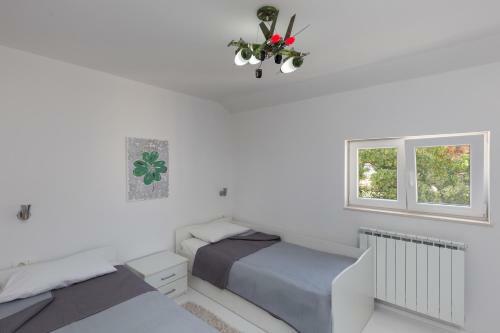 Apartment Super Marijo