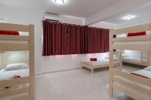 Hostel Free Bird