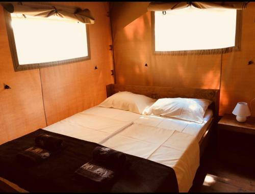 Glamping Safari Home