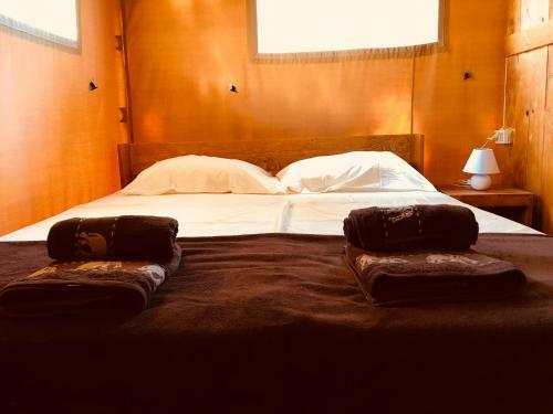 Glamping Safari Home