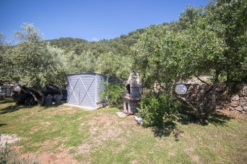 Apartments Petar