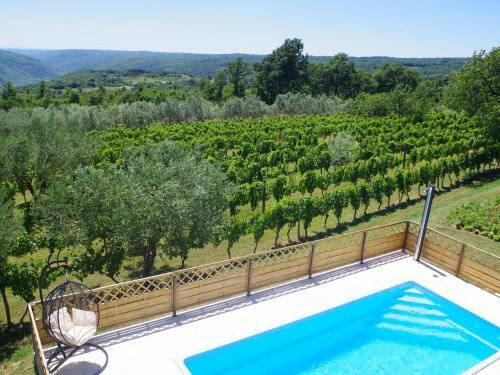 Spacious Apartment With Swimming Pool Overlooking The Vineyards