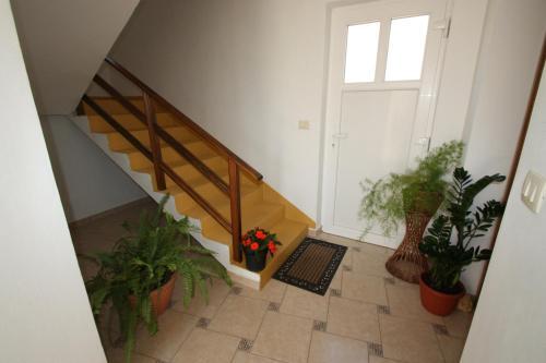 Apartamentos Brnic 2