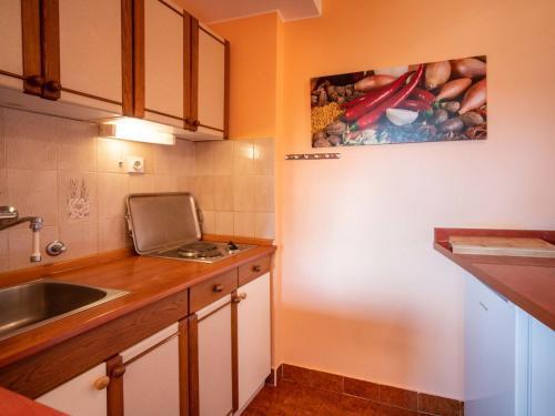 Apartment Mira-3