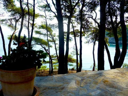 Apartments Ivica - 40 M From Beach