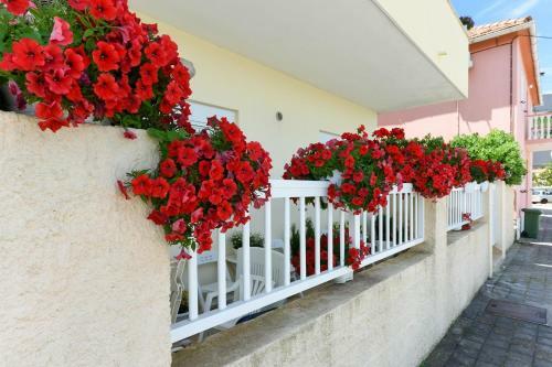 Apartments Kolt - 15m From Sea