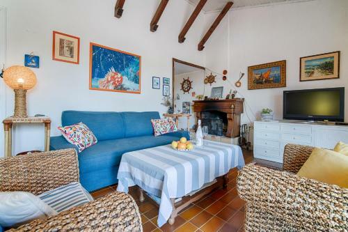 Vila Olive Tree