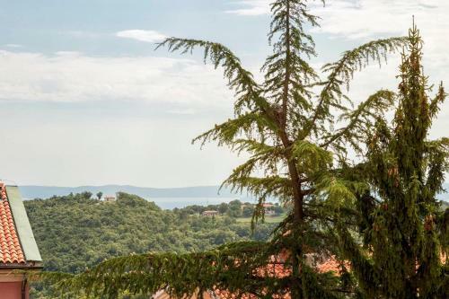 Bed & Breakfast Terra Residence
