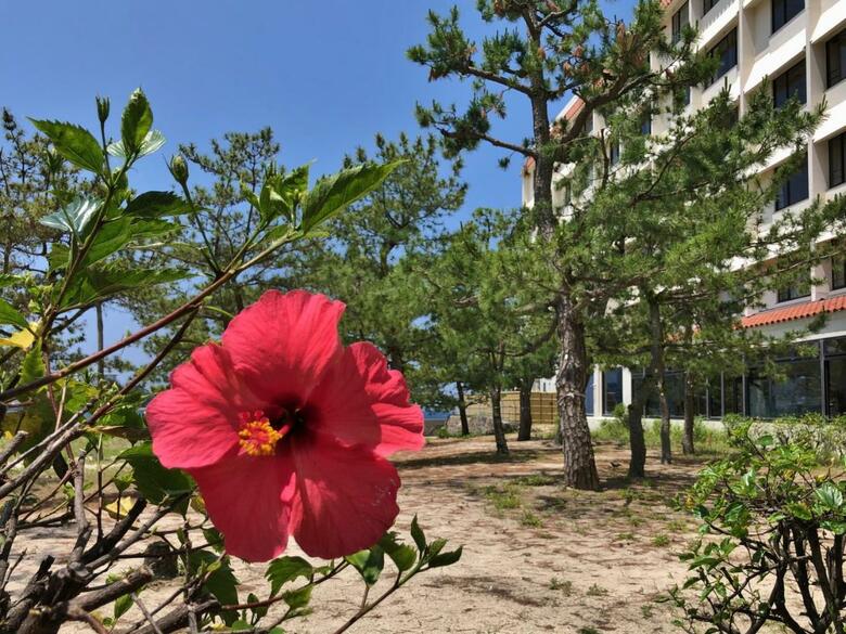 Shiraraso Grand Hotel