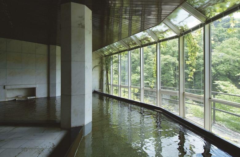 Kinugawa Plaza Hotel