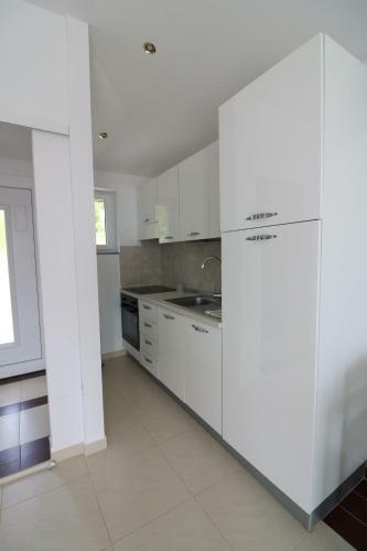 Apartments Ema