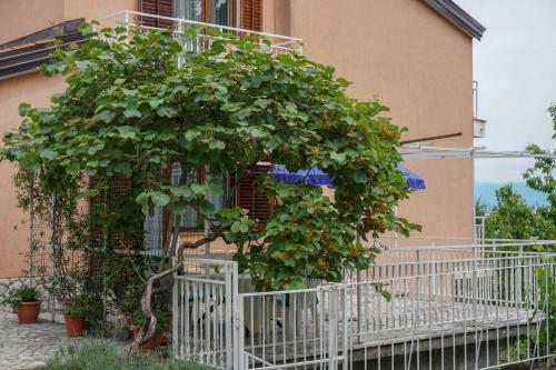 Apartments Jakov