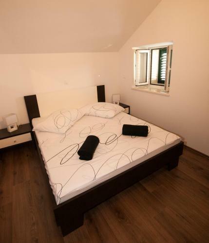 Apartman Fokus