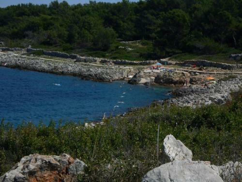 Apartments Ivan - 50 M From Sea