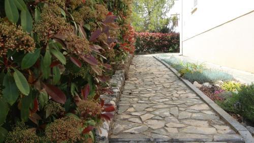 Apartment Davor