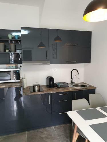 Studio Apartments Slavin