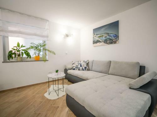Apartment Tina