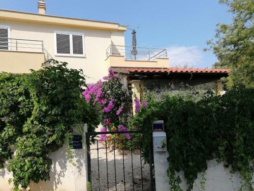 Apartment Deni-70m From Beach