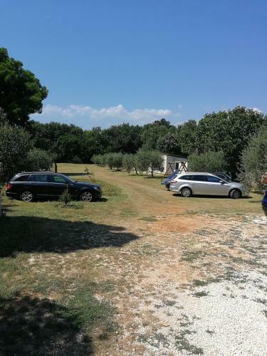 Istrian House Maja - City Center