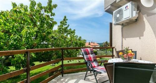 Apartment Fig Tree
