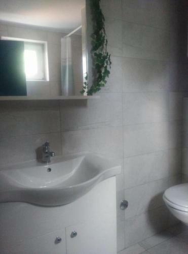 Apartments Darko - Free Parking