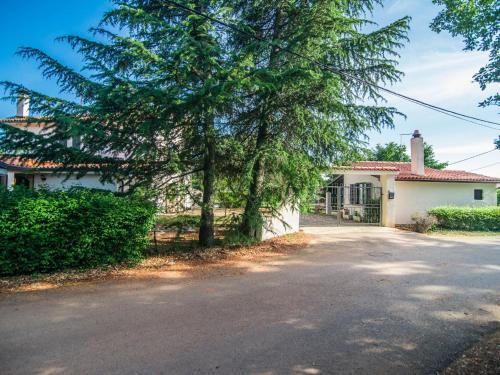 Charming Apartment Near Nova Vas Alm With Terrace