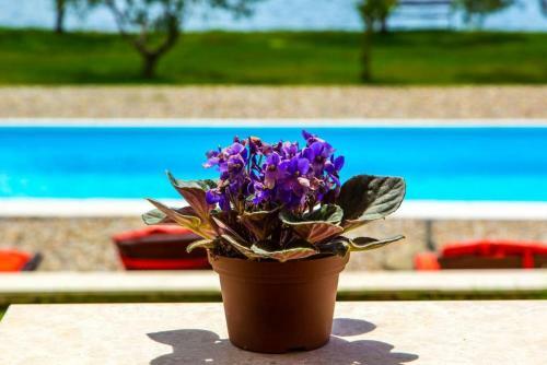 Villa With 6 Bedrooms In Pomer With Private Pool And Wifi