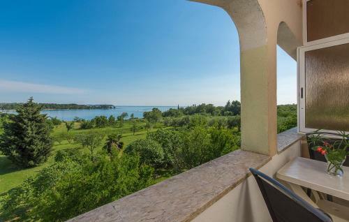Hostal Apartments Saladinka