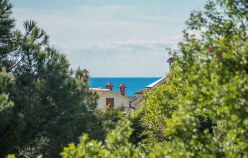 Apartment Ana With Roof Terrace