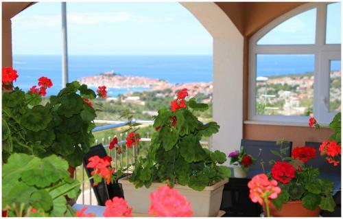 Apartamento Bela