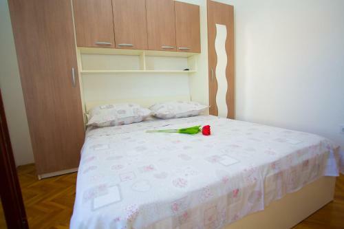 Apartments Zoran