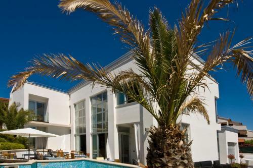 Bed & Breakfast Villa Andrea