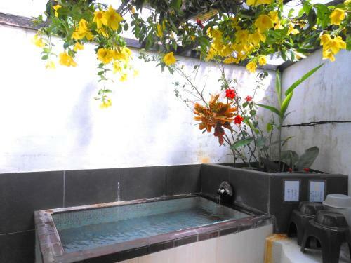 Posada J-garden