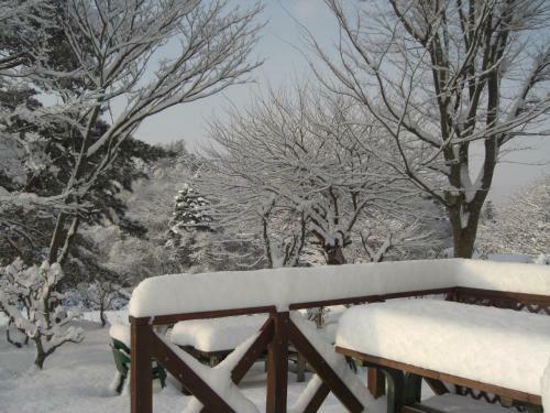 Lodge Pension Labrador