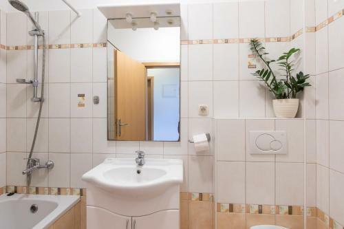 Apartment Cvijic Rose