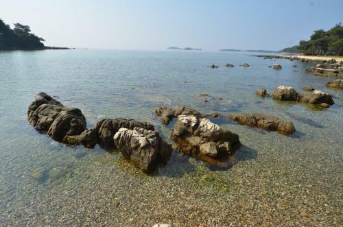 Apartment Irene