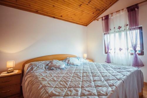 Apartment Luciana 1