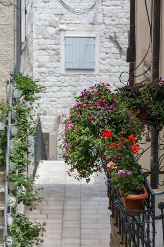 Hostal Riva Palace