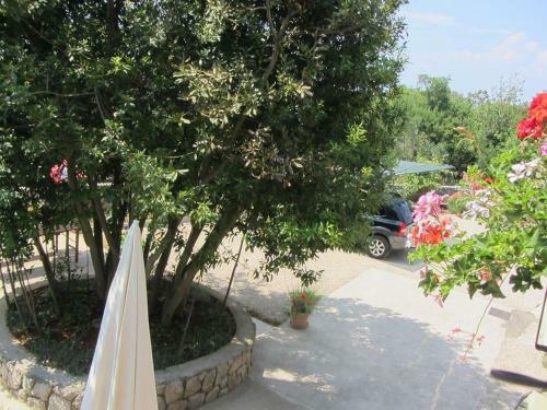 Hostal Apartments Marijana