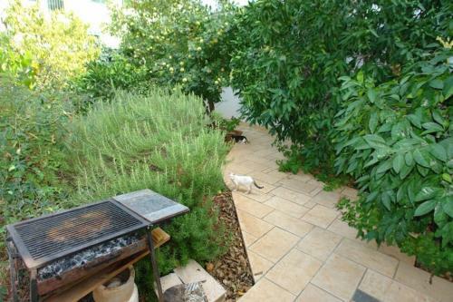 Hostal Guest House Augustina