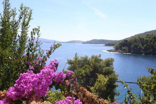 Apartments Ivanka - 45m From Sea