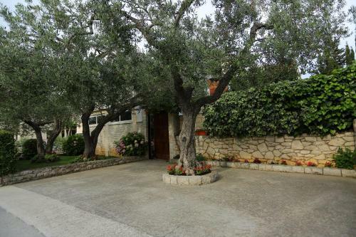 Apartment Mut - 250 M From Beach