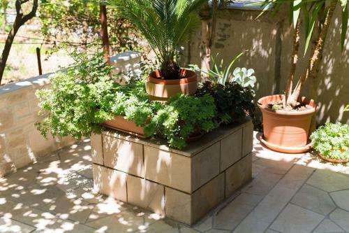 Apartment Dora - Garden Terrace