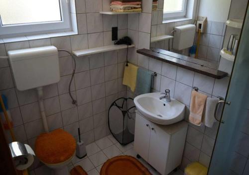 Apartments Vladimir