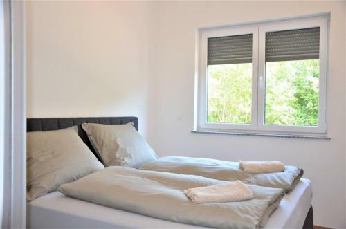 Hostal Apartment House Dodik In Tar