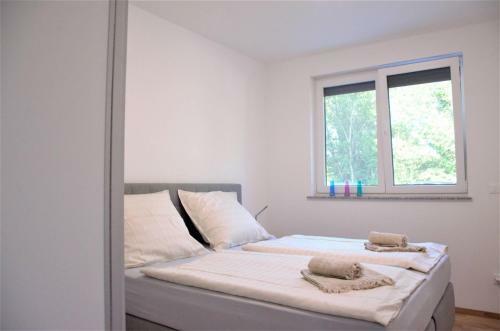 Hostal Apartment House Dodik In Tar