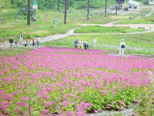 Hakuba Park Hotel