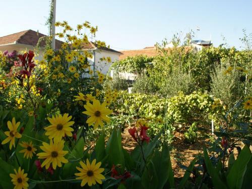 Comfortable Apartment Near Sea In Trogir