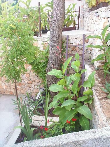 Apartment Kate-35m From Sea